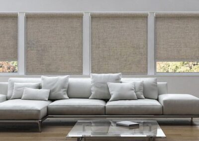 Modern living room with gray sectional and shades