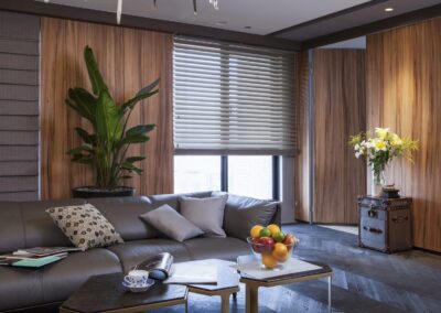 Modern living room with leather sofa and plant