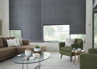 Cozy modern living room with gray blinds